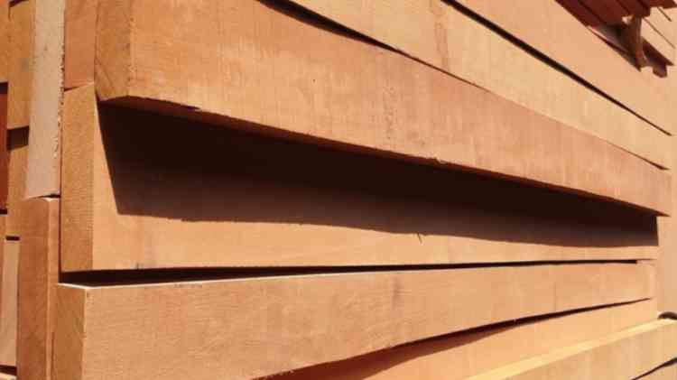 beech wood pilates bed