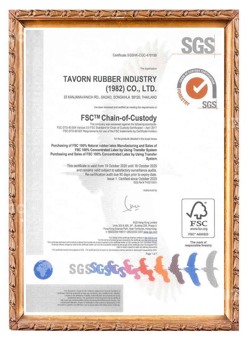 Certificate (7)