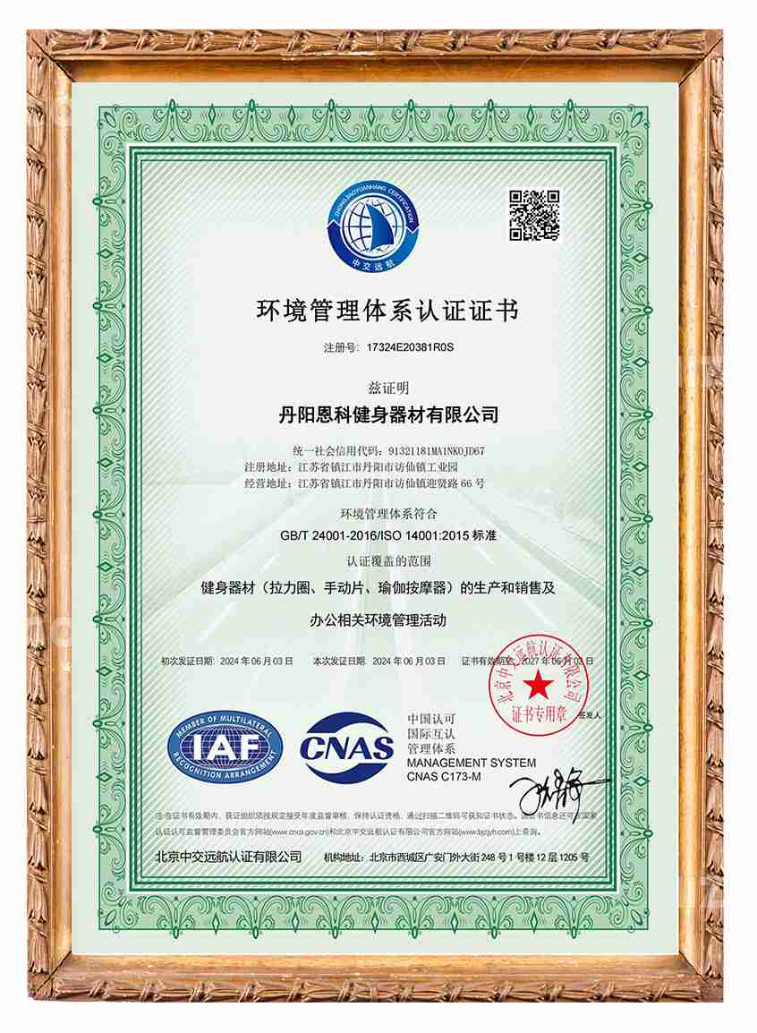 Certificate (9)